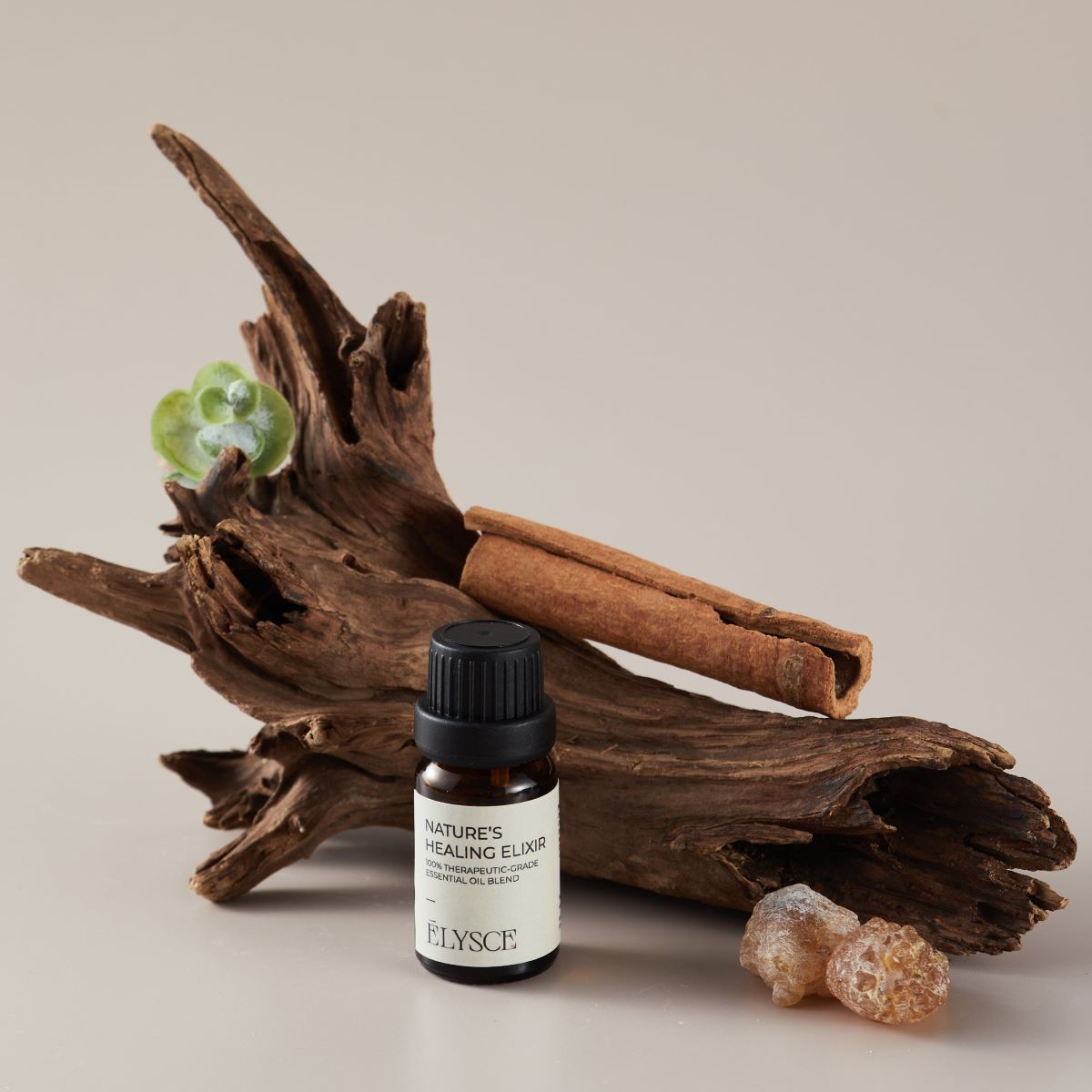 Signature Blends Set