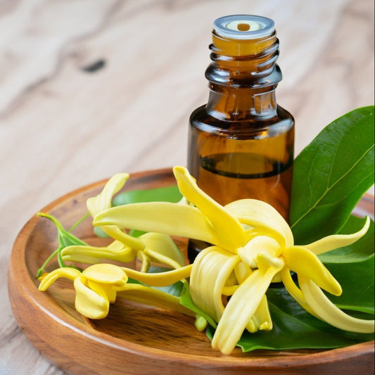 Ylang Ylang Essential Oil: Why It's Good to Use